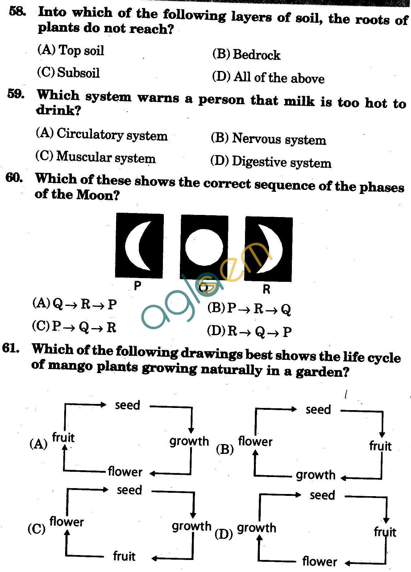 NSTSE 2010 Class III Question Paper with Answers - Science