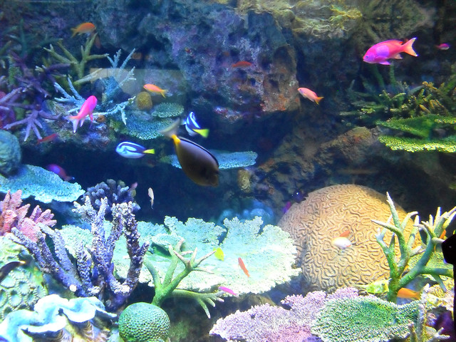 Sunshine City Japan Aquarium, Ikebukuro