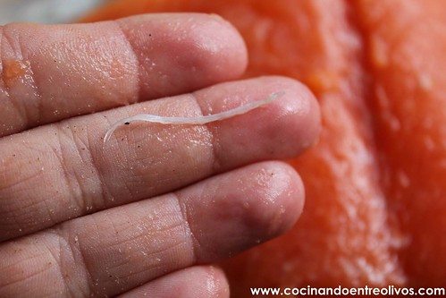 Tataki de salmon en nido de nabo daikon (5)