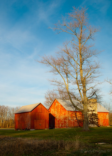 blue red sky tree barn rural indiana d80