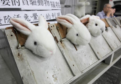 vegan拒絕動物實驗產品。