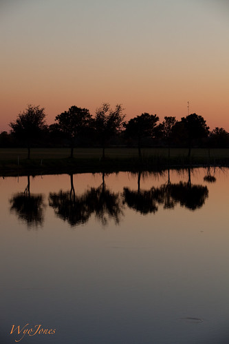 trees sunset water mirror pond texas country np silhoutte microwavetower wallercounty mayerroad wyojones