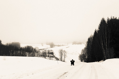 road trees winter snow landscape se sweden kil blackandwhitephotography värmland kicksled
