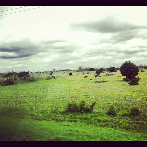 sky green nature clouds texas outdoor igtexas uploaded:by=flickstagram instagram:photo=1492372795137757253722690
