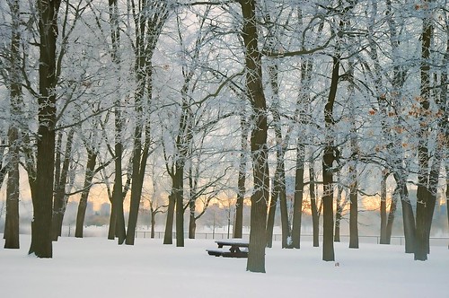 winter snow ontario canada tree nature sunrise river table landscape island picnic frost view crystal quebec ottawa ground scene cover icy wonderland bate beyondhue