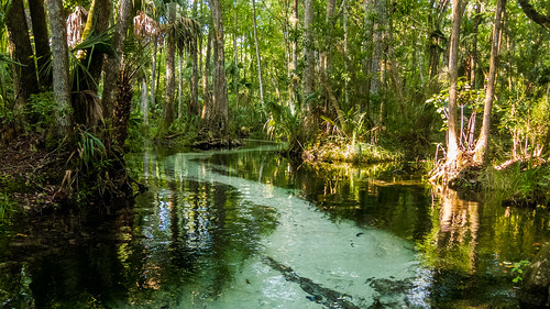 florida places dunnellon gissysprings