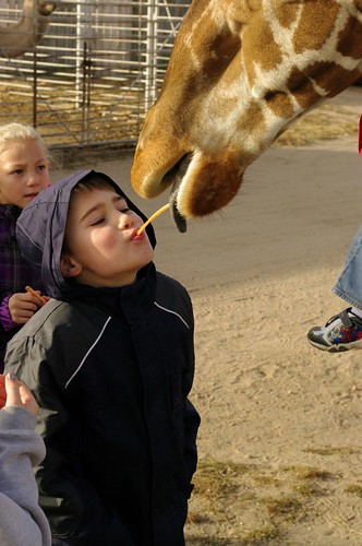kangaroo giraffe hutchinson nickerson kansascosmosphere kansasundergroundsaltmuseum kansasfarm kansasfamilyfun