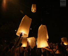 Loi Krathong Festival 2012