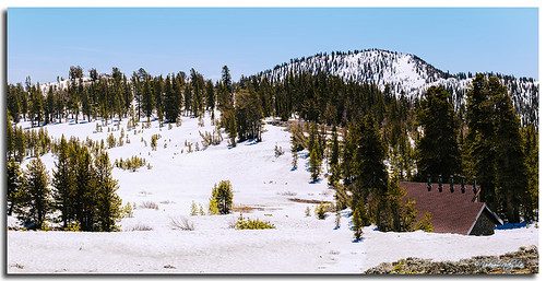travel panorama mountain snow nature unitedstates nevada trail alpine summit 4x5 recreation reno largeformat mtrosehwy panoramaadapter nv431 touristvista arcaswissf touchbyphoto digitalscanback 210mmsironasrodenstocklens bettterlightsuper6k acraswissfcamera tahoemeadowstrailhead
