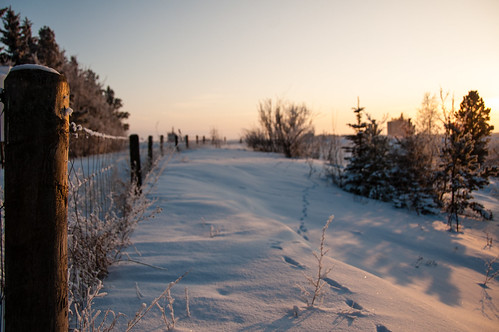 camera city winter sunset snow canada nature rural fence country d70s where when what northamerica saskatchewan continent province melfort