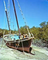Broome 50 Years On -  Lugger B8 'Dove' in the Mud