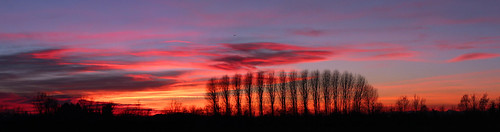 trees winter sunset red sunshine alberi tramonto nuvole pano panoramic campagna panoramica land sole inverno rosso countyside autostich rememberthatmomentlevel4 rememberthatmomentlevel1 rememberthatmomentlevel2 rememberthatmomentlevel3 me2youphotographylevel1 rememberthatmomentlevel5 rememberthatmomentlevel6