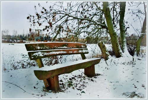 winter snow tree germany bench landscape pentax braunschweig lowersaxony wenden k200d bienrode schunteraue