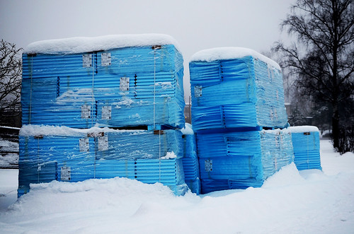 blue trees winter snow 35mm18 nikond7000