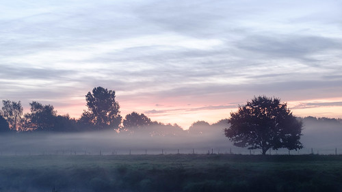 morgen morning haselünne fog sunrise emsland sonnenaufgang nebel niedersachsen germany de
