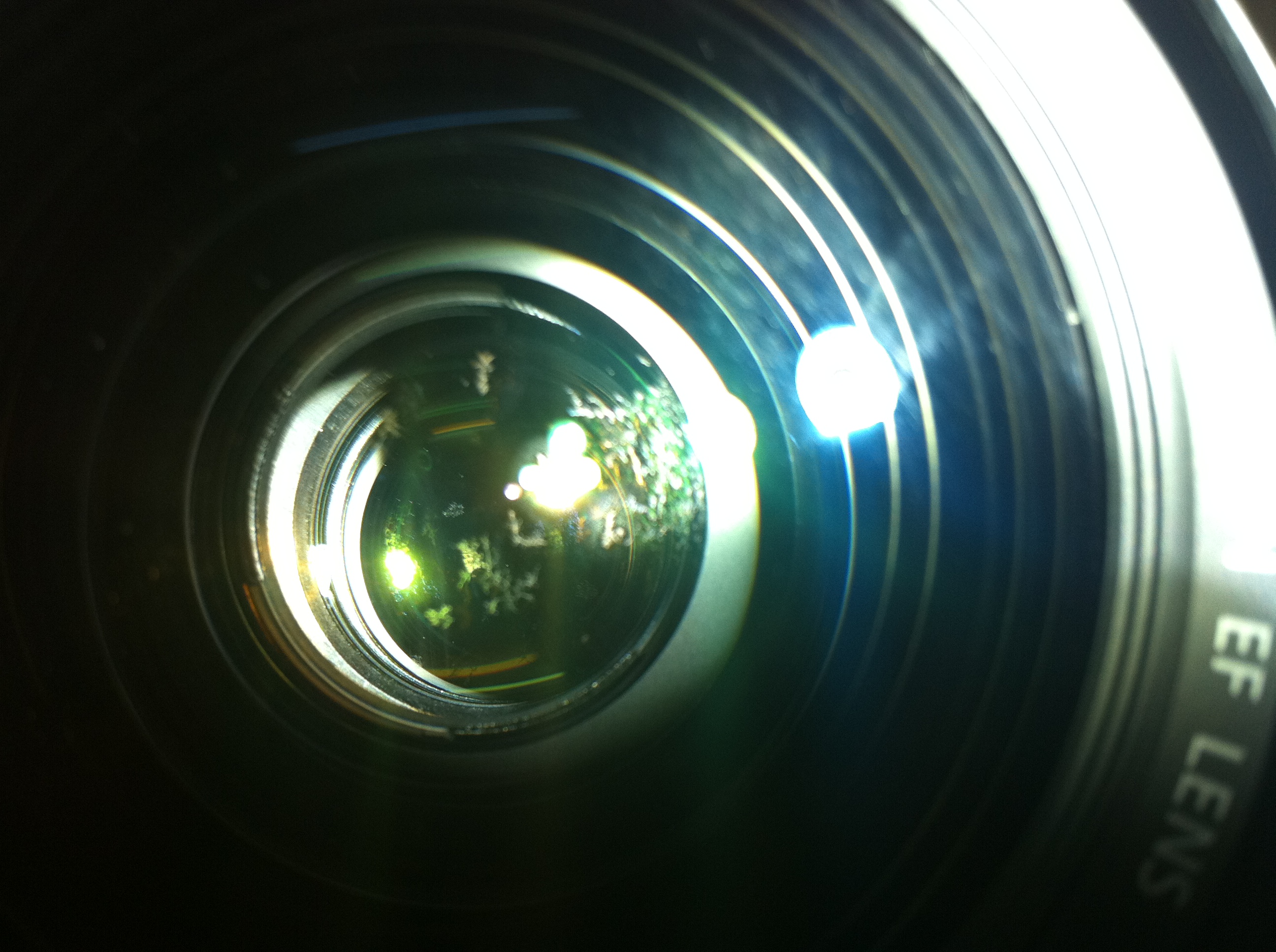 Lens Canon 24-70Mm Bị Mốc Rẽ Tre - Cần Các Bro Giúp Đỡ