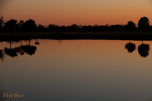 trees sunset water reflections mirror pond texas country np microwavetower wallercounty mayerroad wyojones