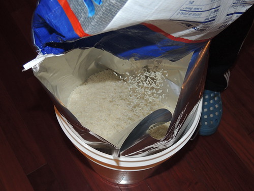 Storing rice in mylar bag