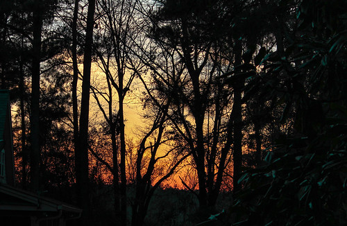 sunset sky mississippi backyard laurel thejunglebook