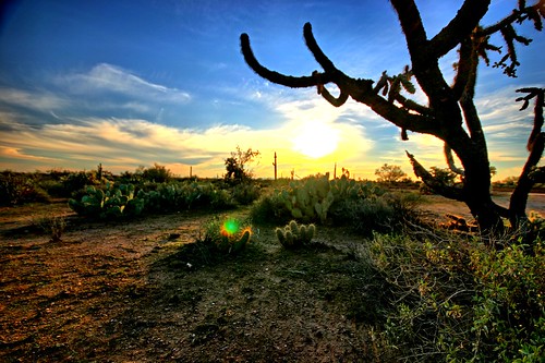 sunset arizona cactus usa mountains southwest dusty sonora cacti december desert hiking adventure trail environment daytime vistas sonoran superstition arid mesa daytrip 2012 sagauro goldcanyon coolclouds bluffsprings
