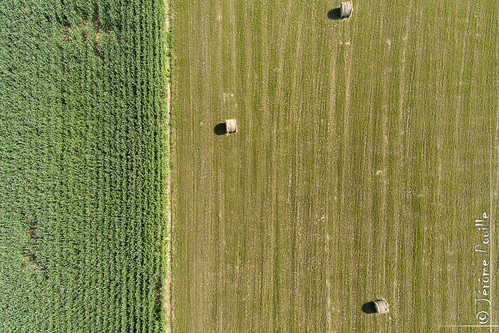 dji aerialphotography aérien drone landscape pasdecalais paysage phantom phantom4 village wismes nordpasdecalaispicardie france fr