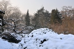 Ogród (Zimowych) Rozkoszy