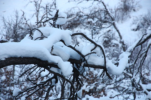 winter snow washington washingtonstate naches oakcreekwildlifearea wsweekly12