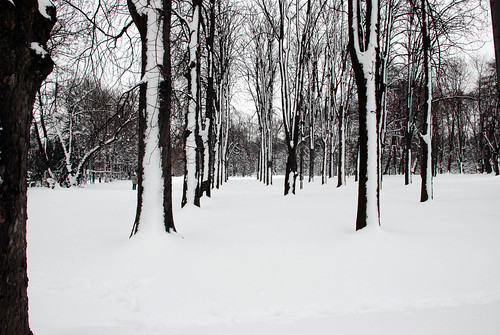 winter jarok2012