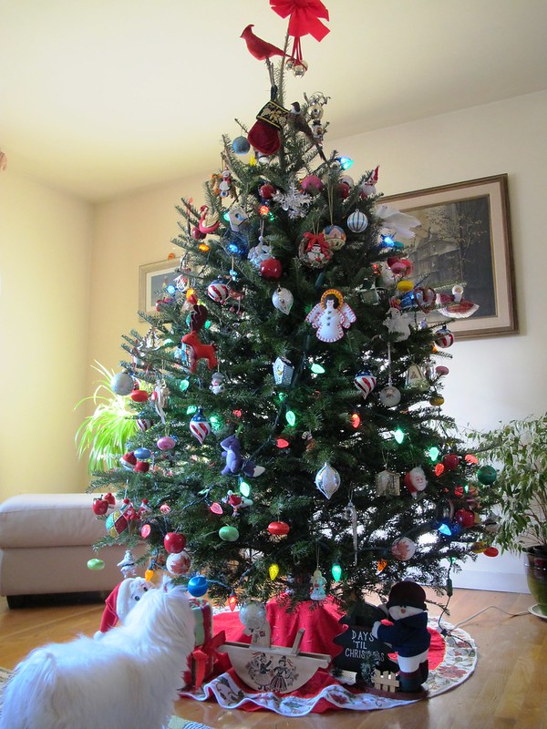 圣诞节活动: 圣诞树装饰比赛】旧树新贴，抛砖引玉- 陈默发表于人到中年- 论坛| 文学城