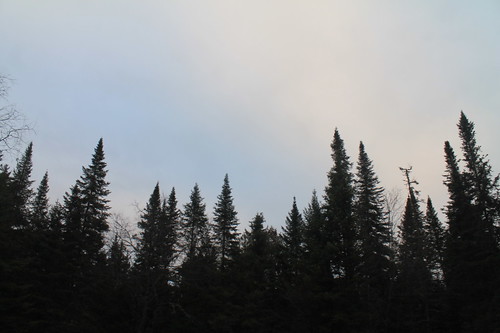 wild mountain forest skies clearing andyarthur vanderwhacker