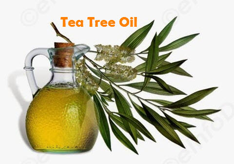 get rid of acne with tea tree oil