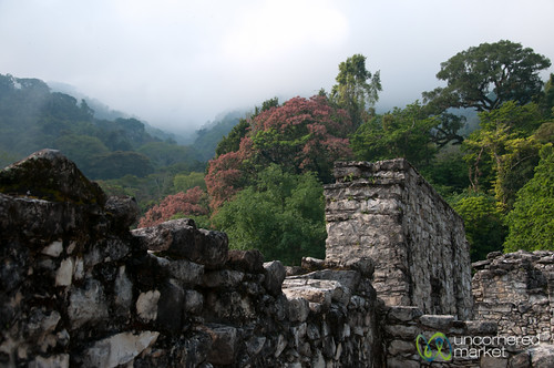 mexico maya palace mayanruins palenque chiapas mayanculture