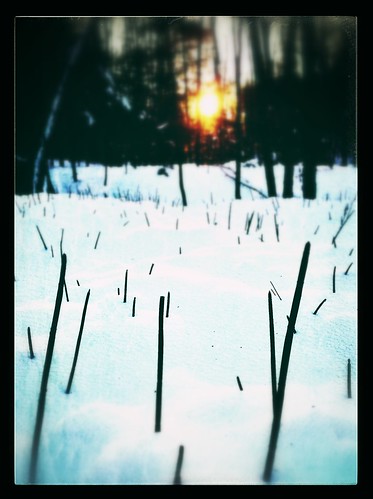 sunset snow nik 365 iphone niksoftware iphoneography snapseed