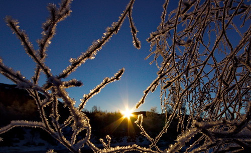 blue sunset sun white snow cold tree ice nature yellow norway norge frost freezing norwegen chilly arne rays icy sunrays per minkn