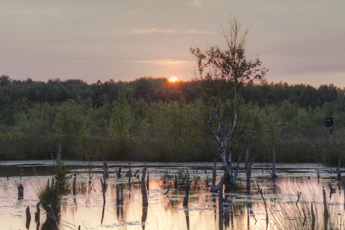 sunset reflection nature water nikon peat veen moor veld emmen amsterdamsche bargerveen zwartemeer d5100