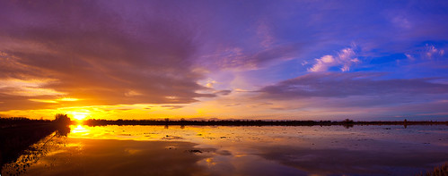 california sunset water field reflections rice centralvalley sacramentovalley