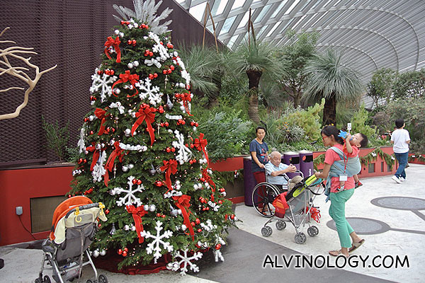 We were greeted by this Christmas tree upon entrance to the Flower Dome