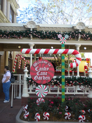Christmas at Disney Parks