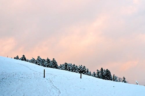 trees sunset sky orange white snow clouds schweiz switzerland top hill burning bern burningsky langnau dorfberg langnauie