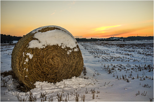 winter sunset snow field weather fuji snowy freezing straw daily crop 365 icy bales wigan davegreen x100 1aday billinge billingehill oyphotos fujix100