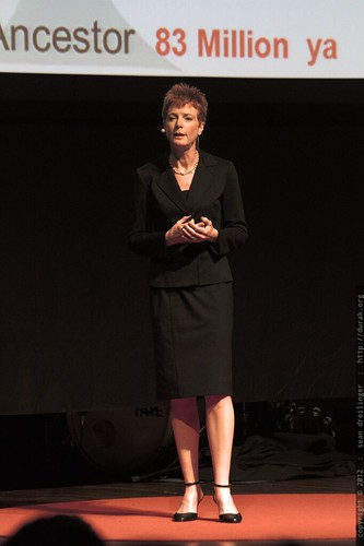 Vanessa Hayes   Defining Human Diversity   TEDxSanDiego 2012