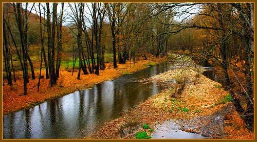 autumn trees france reflection fall automne river landscape europe orb rivière reflet arbres paysage 34 feuilles fleuve languedocroussillon hérault “flickraward”