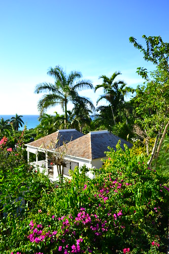 jamaica caribbean roundhill