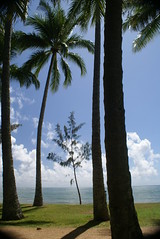 King Tide at Palm Cove and Palm Cove Jetty