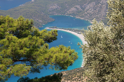 sea summer mountain beach pine turkey landscape mediterranean view turkiye olive oludeniz fethiye akdeniz лето море турция yuriye