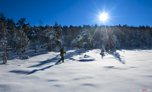 winter sun mountain snow silhouette norway forest norge skiing outdoor bluesky pines february spruce crosscountryskiing rogaland hjelmeland ryfylke motlys bjødnabu bentingeask askphoto2013