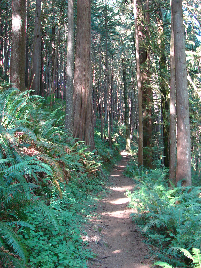 Nelson Ridge Trail
