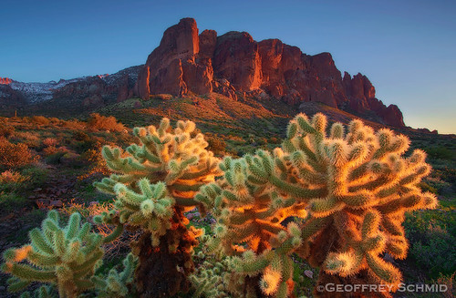light sunset arizona cactus nature sonora landscape desert dusk teddybear cholla superstitions lostdutchman