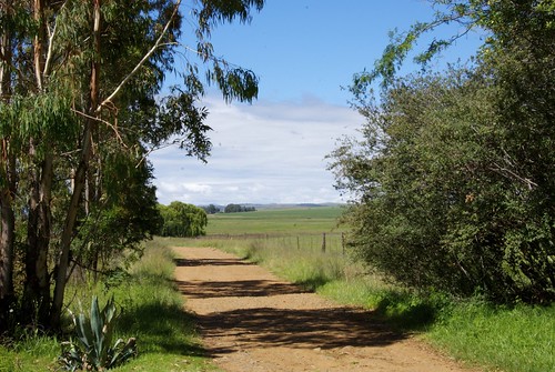 road xmas landscape southafricafreestatexmas2012