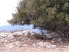 Kreta 2005-2 069